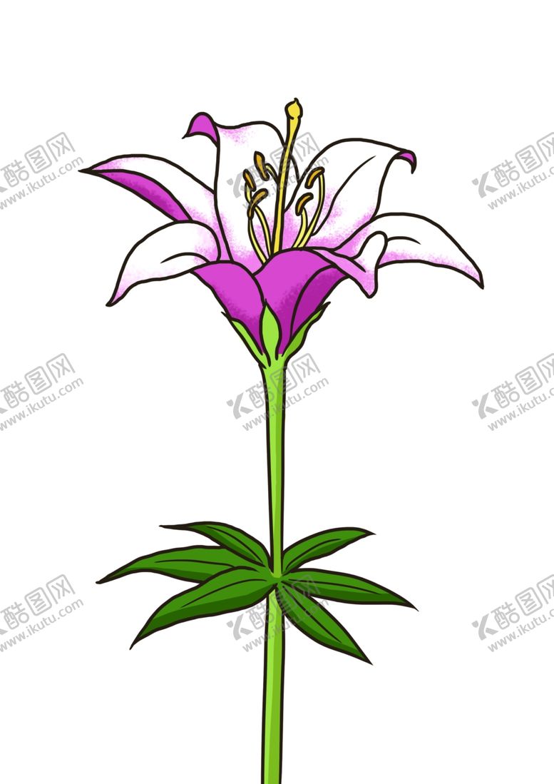 编号：67246610260521357260【酷图网】源文件下载-手绘百合花