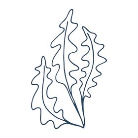 手绘海洋生物