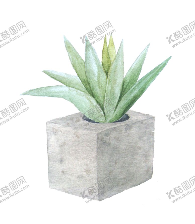 编号：32328007020002318059【酷图网】源文件下载-盆景植物