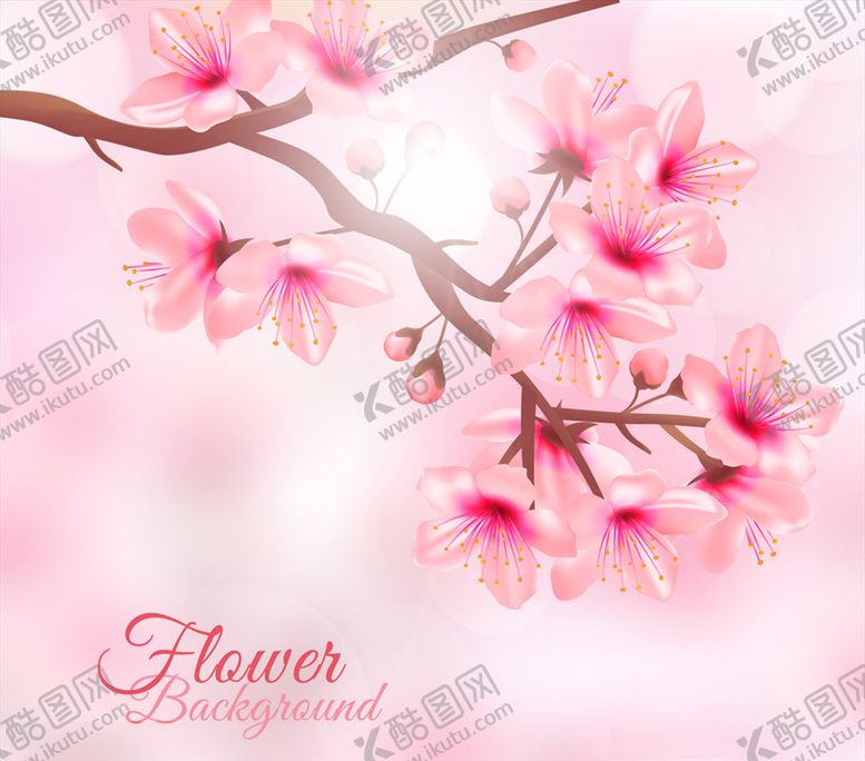 编号：29767610101124536835【酷图网】源文件下载-创意阳光下的粉色花枝