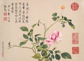 钱维城月月花开花卉图册国画