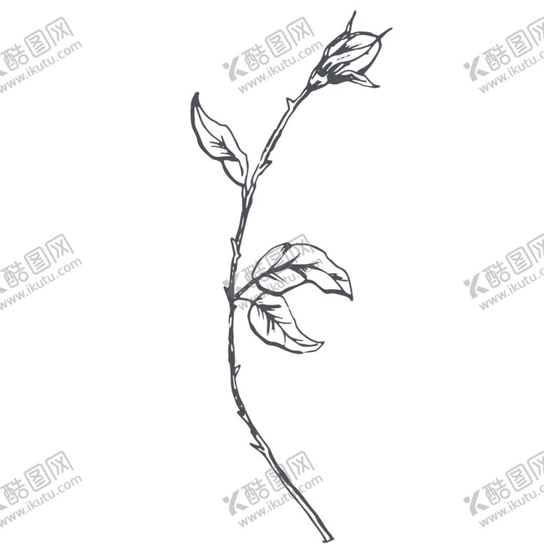 编号：96784306160236124495【酷图网】源文件下载-手绘植物