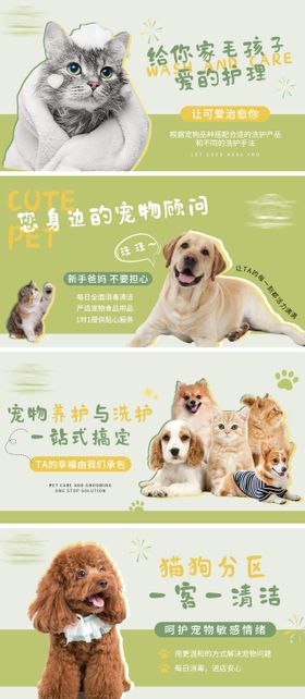 毛孩子宠物店banner