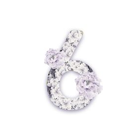 花卉数字6婚礼少女心元素图案设