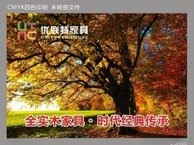 家居家具橱窗软膜软膜灯箱