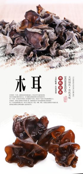 木耳食材