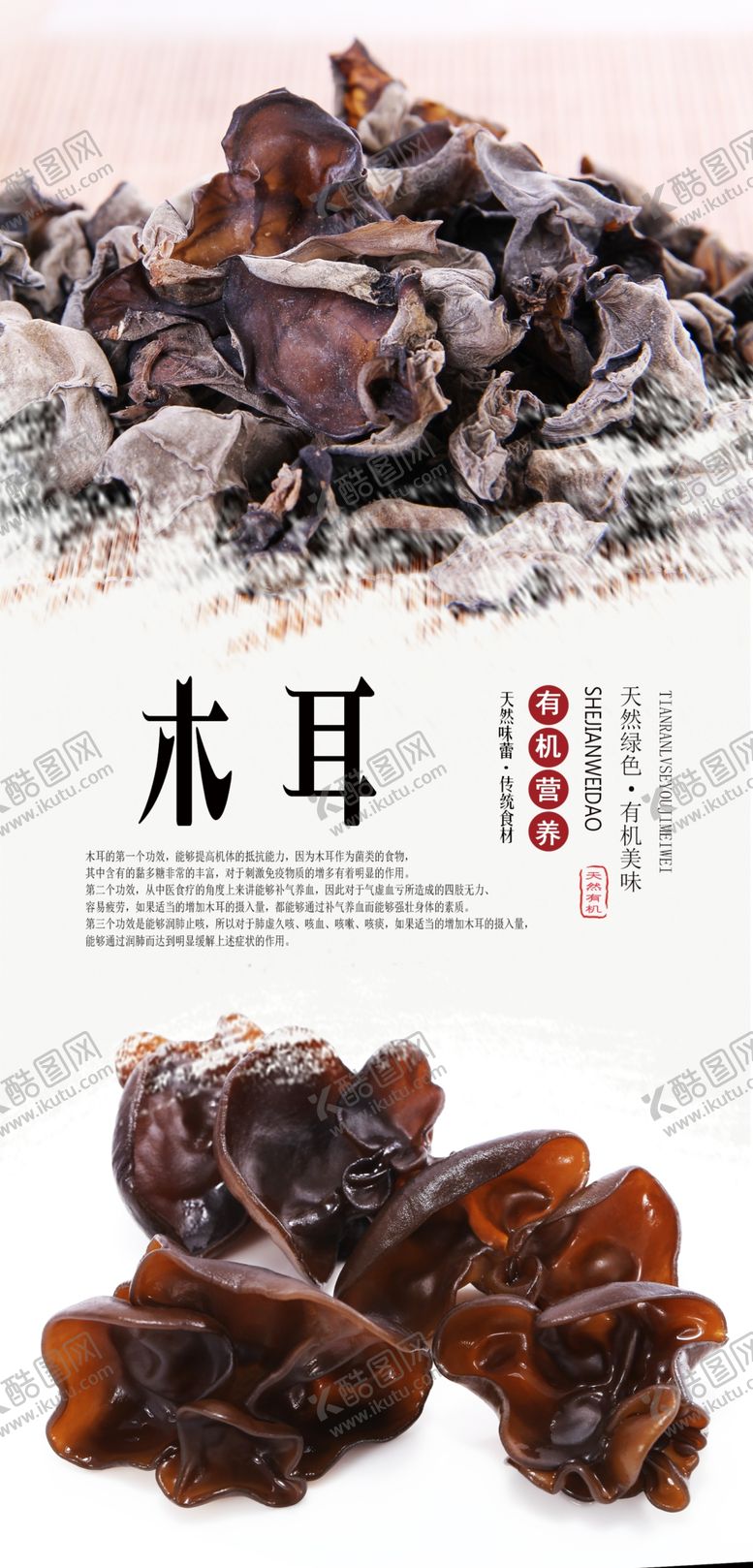 编号：30015607031317492815【酷图网】源文件下载-木耳食材