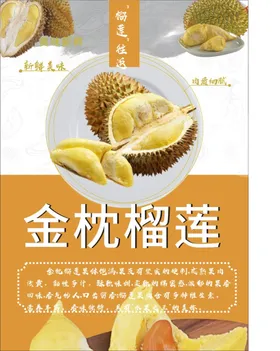 榴莲批发文化传单