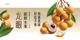 新鲜水果龙眼美食宣传展板