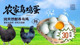 乌鸡蛋