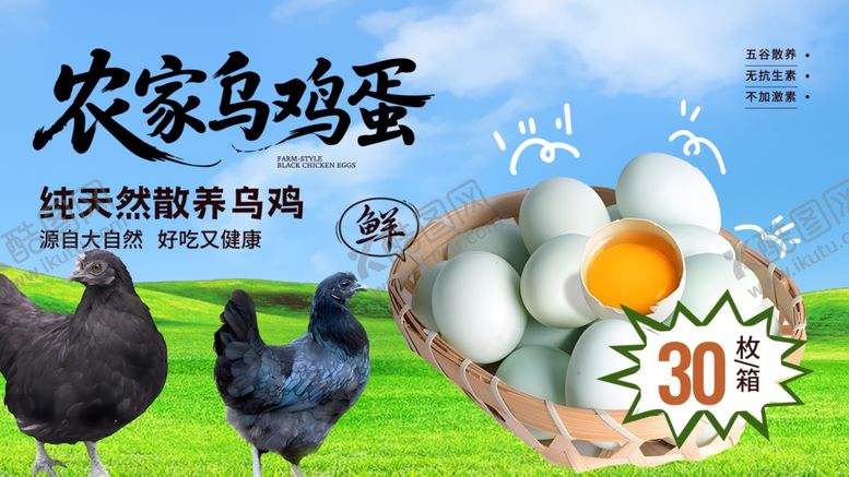 编号：38443309230057432326【酷图网】源文件下载-乌鸡蛋