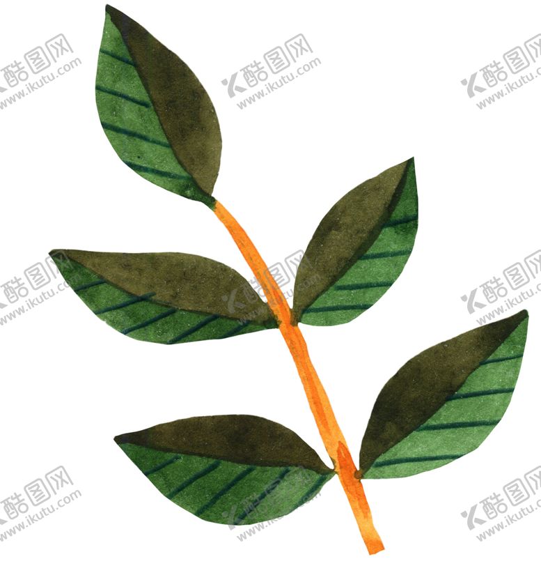 编号：87708109182317269828【酷图网】源文件下载-手绘植物叶片