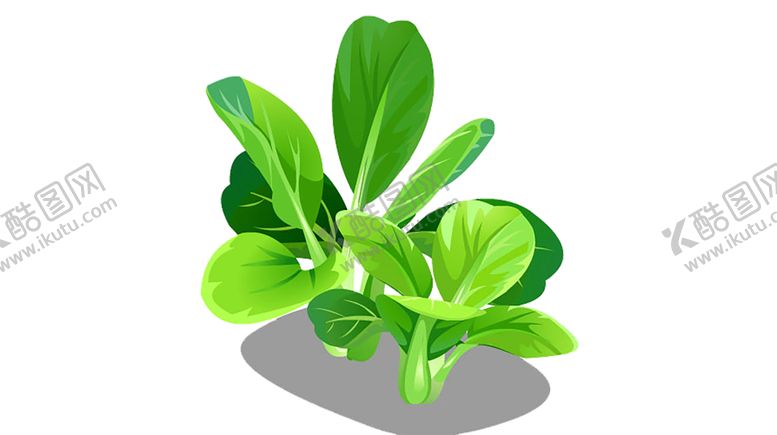 编号：22869009190333498393【酷图网】源文件下载-绿色装饰