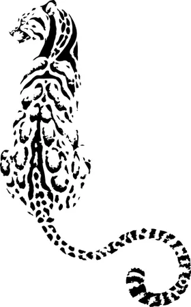 豹子1