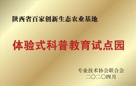 钛金牌奖牌