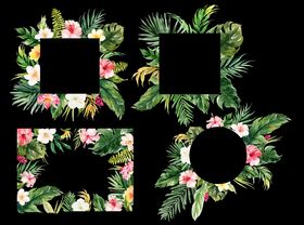 花卉边框图案设计素材
