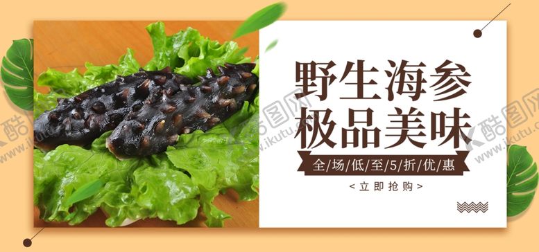 编号：13914301140811223250【酷图网】源文件下载-野生海参