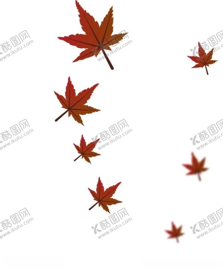 编号：53722410300645234806【酷图网】源文件下载-枫叶素材