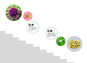 中医药材