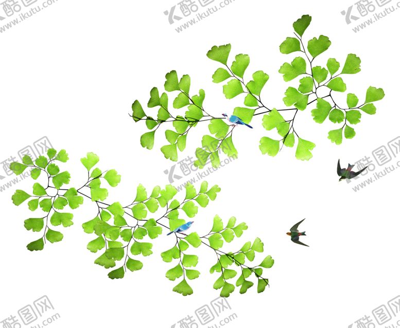 编号：21363010300452094689【酷图网】源文件下载-树叶