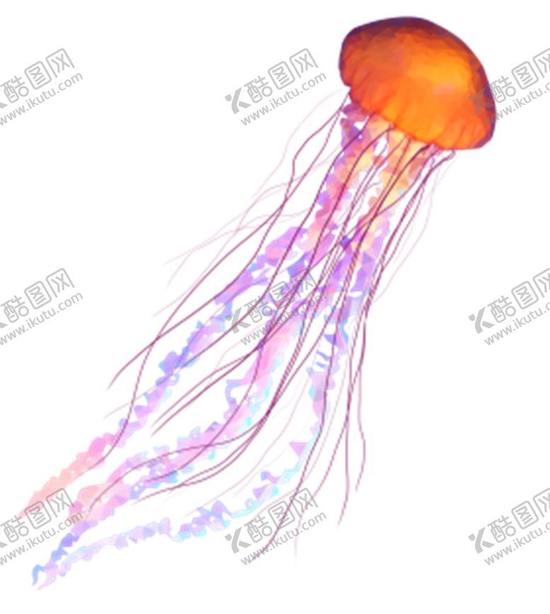 编号：92636506281652372576【酷图网】源文件下载-水母