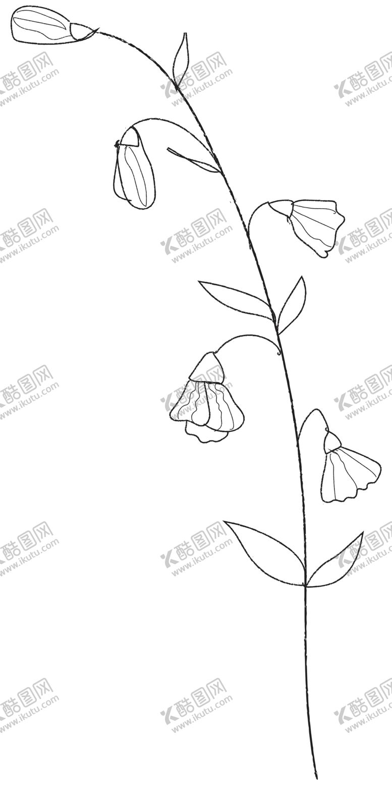 手绘植物花卉森系枝森系草文艺风