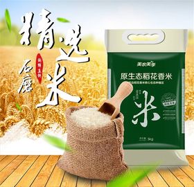 食品主图