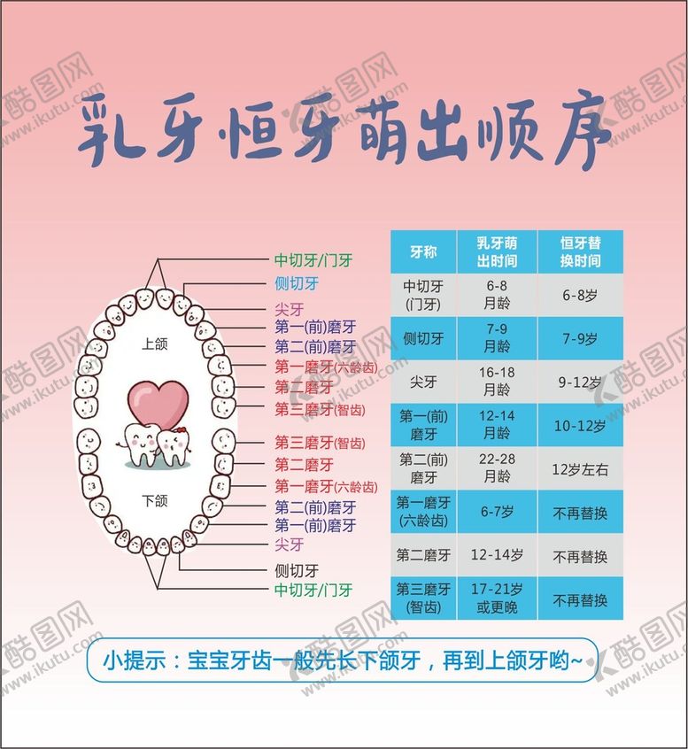 编号：15135212011849168362【酷图网】源文件下载-乳牙口腔