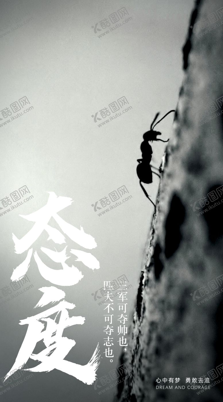 编号：50190105190630066272【酷图网】源文件下载-励志文化系列海报