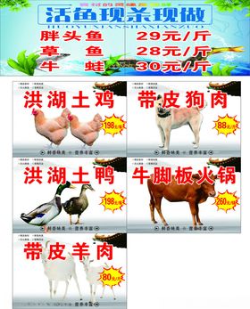 活鱼现杀肉类促销海报