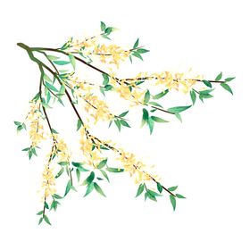 手绘桂花png免抠素材插画糕食品