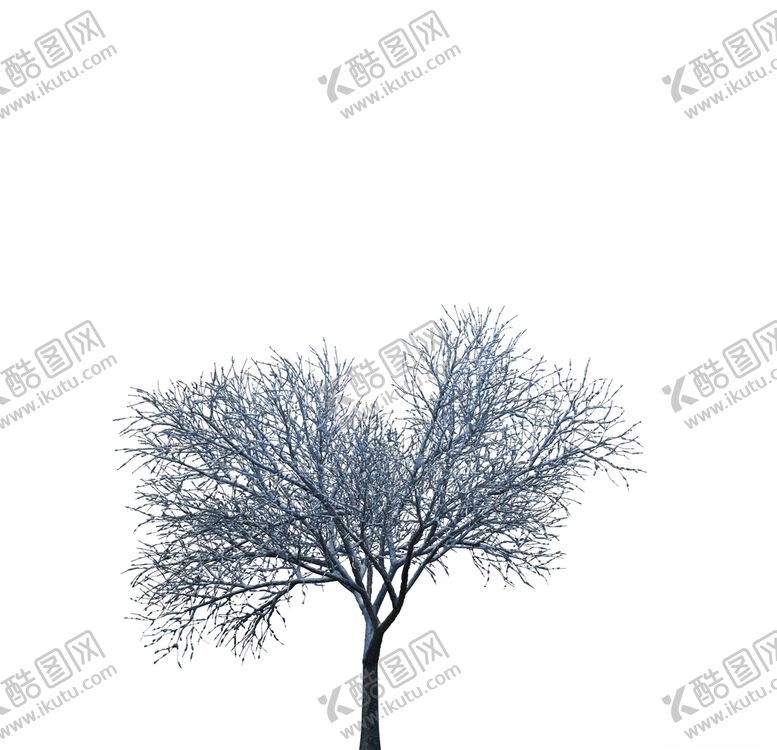 编号：88854409160329115704【酷图网】源文件下载-树木