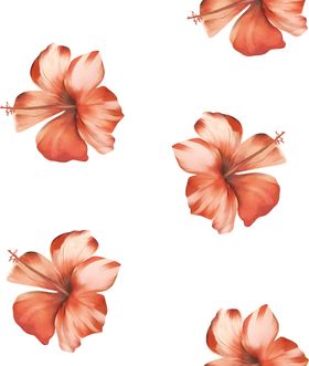 热带花
