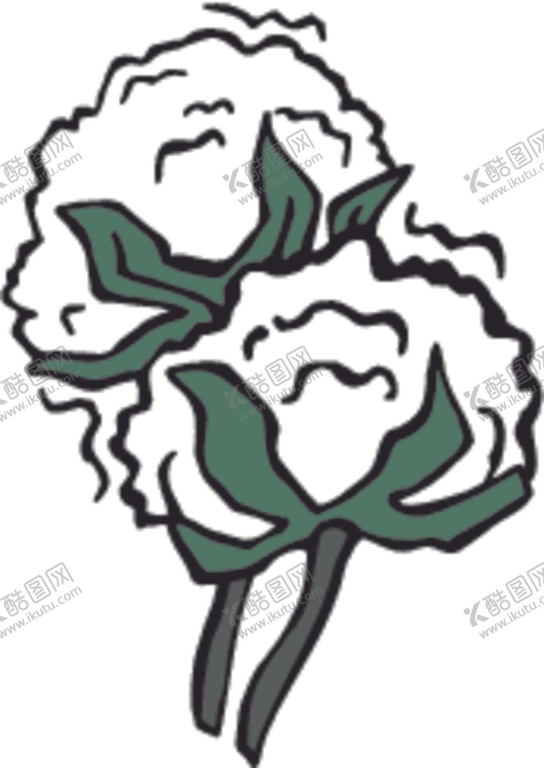 编号：72847610021814078376【酷图网】源文件下载-棉花