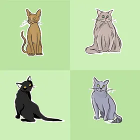 各种猫咪