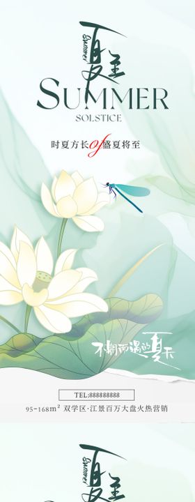 夏至节气海报二十四地产荷花荷叶