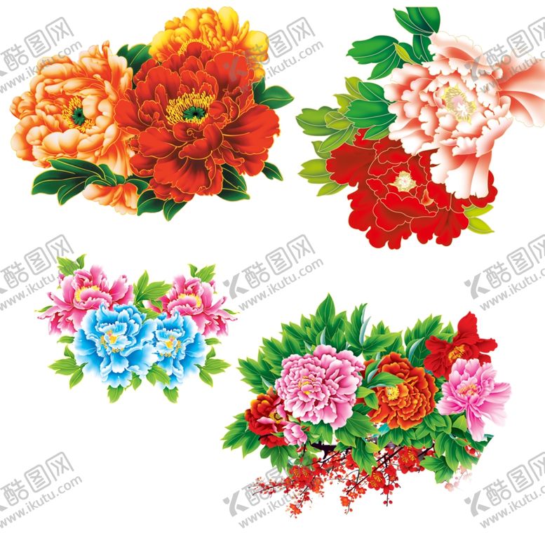 编号：66971910280342004808【酷图网】源文件下载-牡丹花