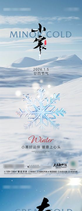 二十四节气小寒大寒海报