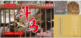 鸟食