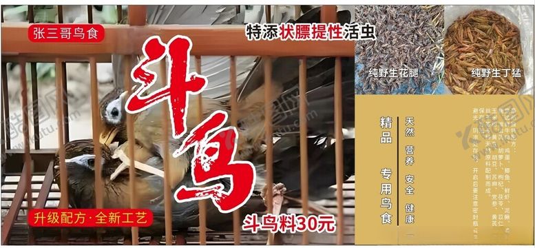 编号：91453103051125109741【酷图网】源文件下载-鸟食