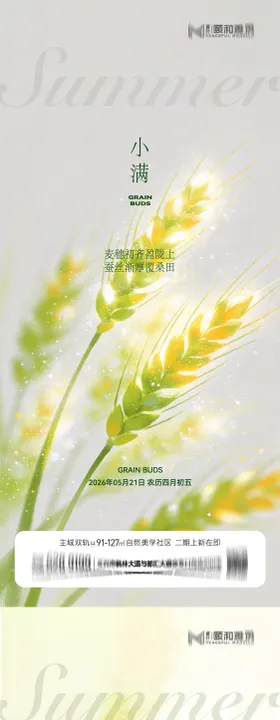 小满麦田二十四节气节日海报2026