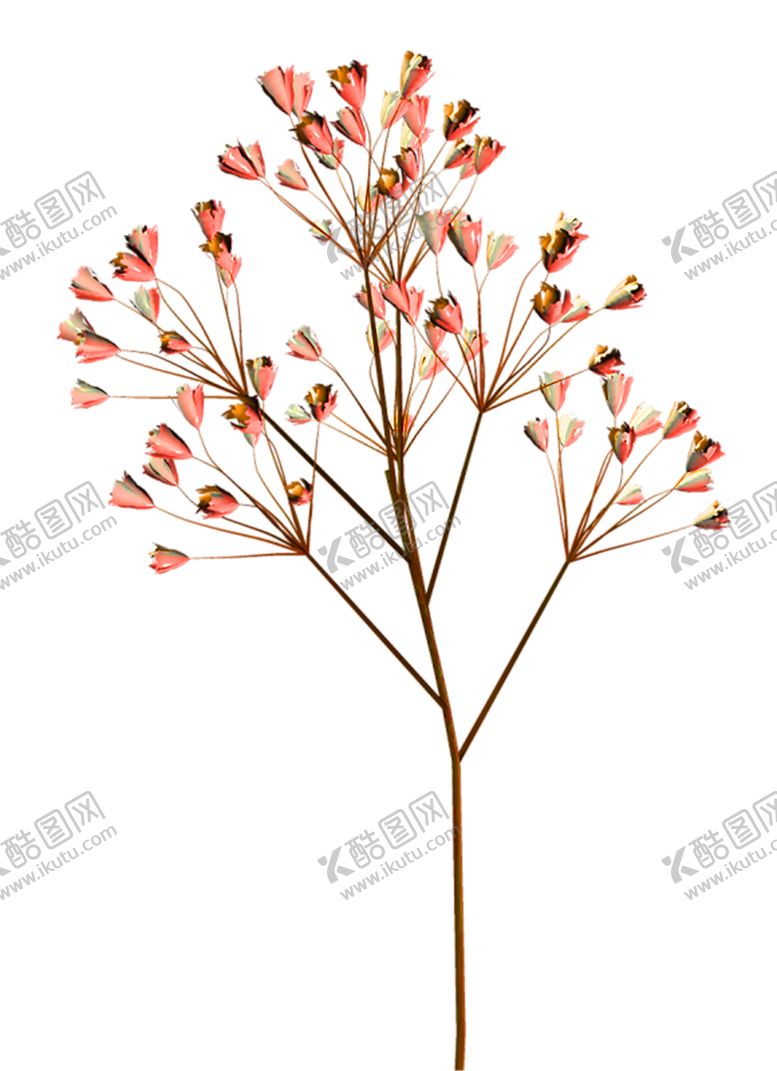 编号：27738410212326014367【酷图网】源文件下载-花素材