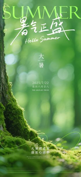 大暑节气系列海报