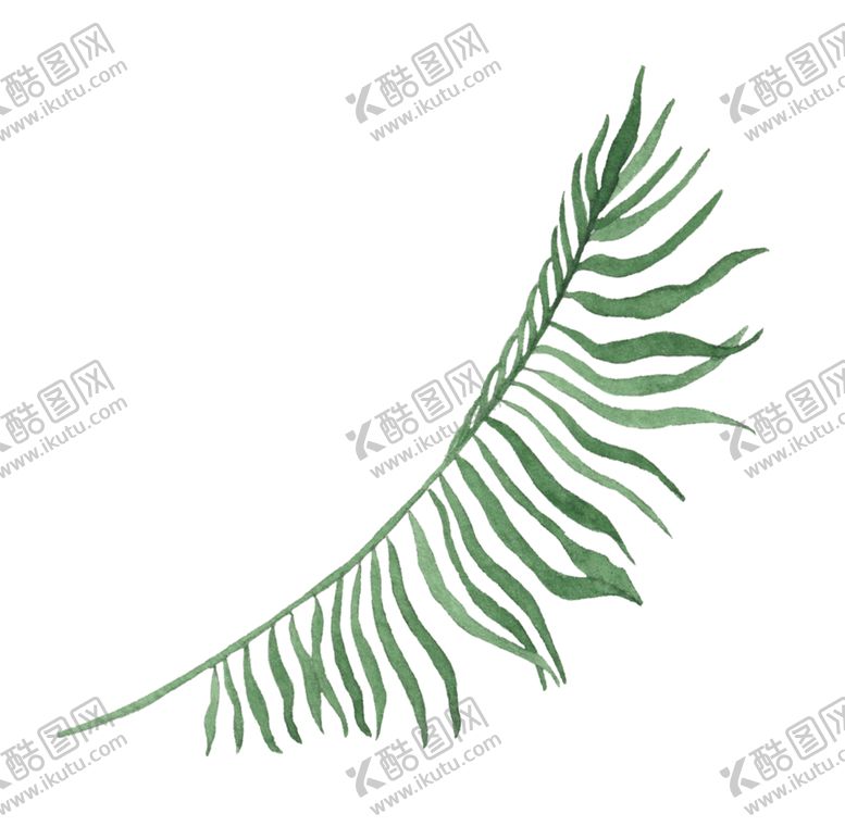 编号：94185002030111045949【酷图网】源文件下载-水彩树叶树枝 
