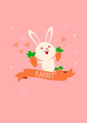 RABBIT 兔子 