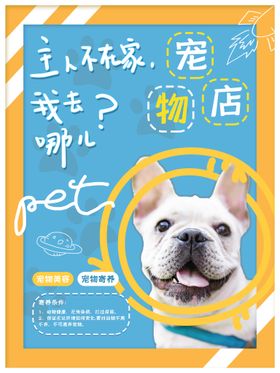 宠物寄养海报
