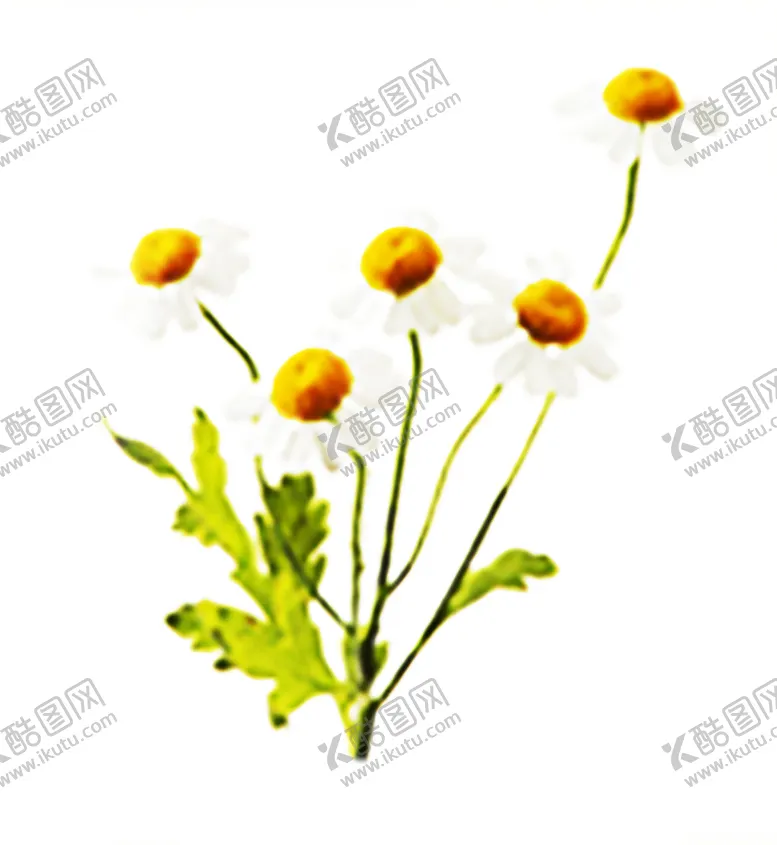 编号：67107510111656581411【酷图网】源文件下载-浪漫素材