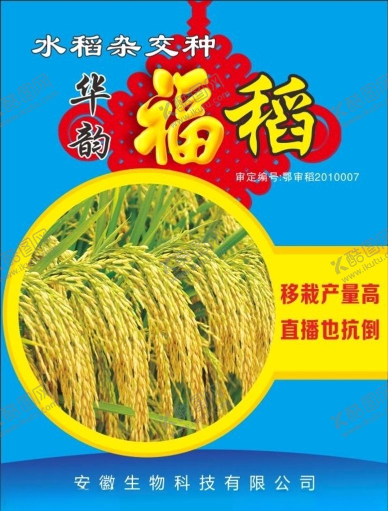 编号：30716010220746057566【酷图网】源文件下载-水稻彩页