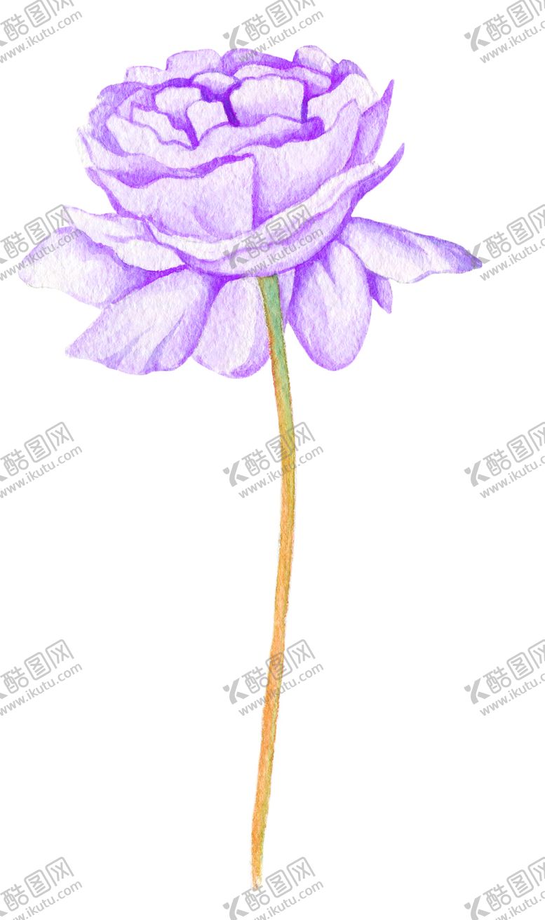 编号：41025105101331237529【酷图网】源文件下载-鲜花素材