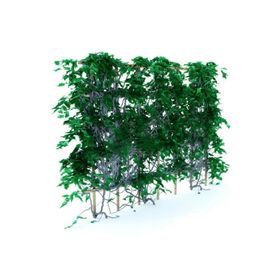 C4D模型植物